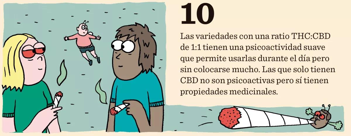 Diez consejos para escoger semillas 