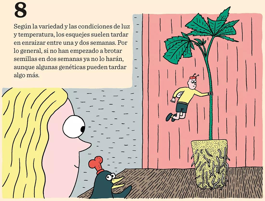 Sacar nuestros propios esquejes en diez pasos