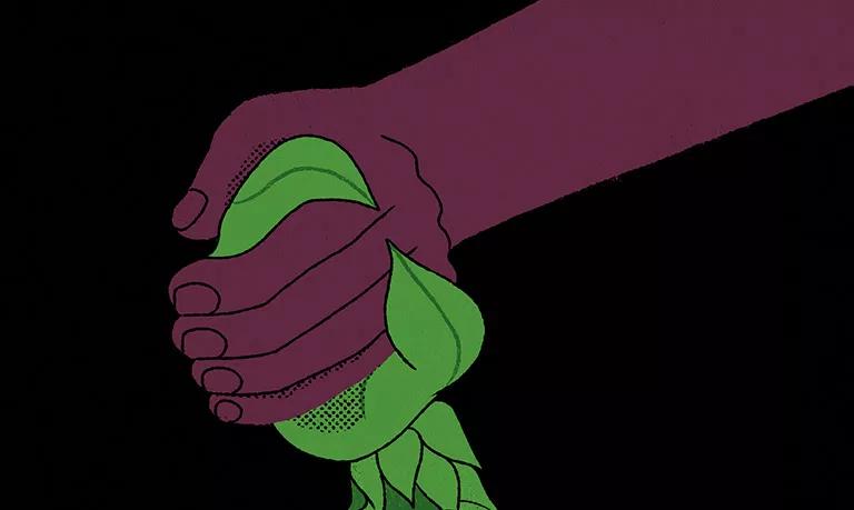 Ayahuasca y cuidados paliativos en el cáncer