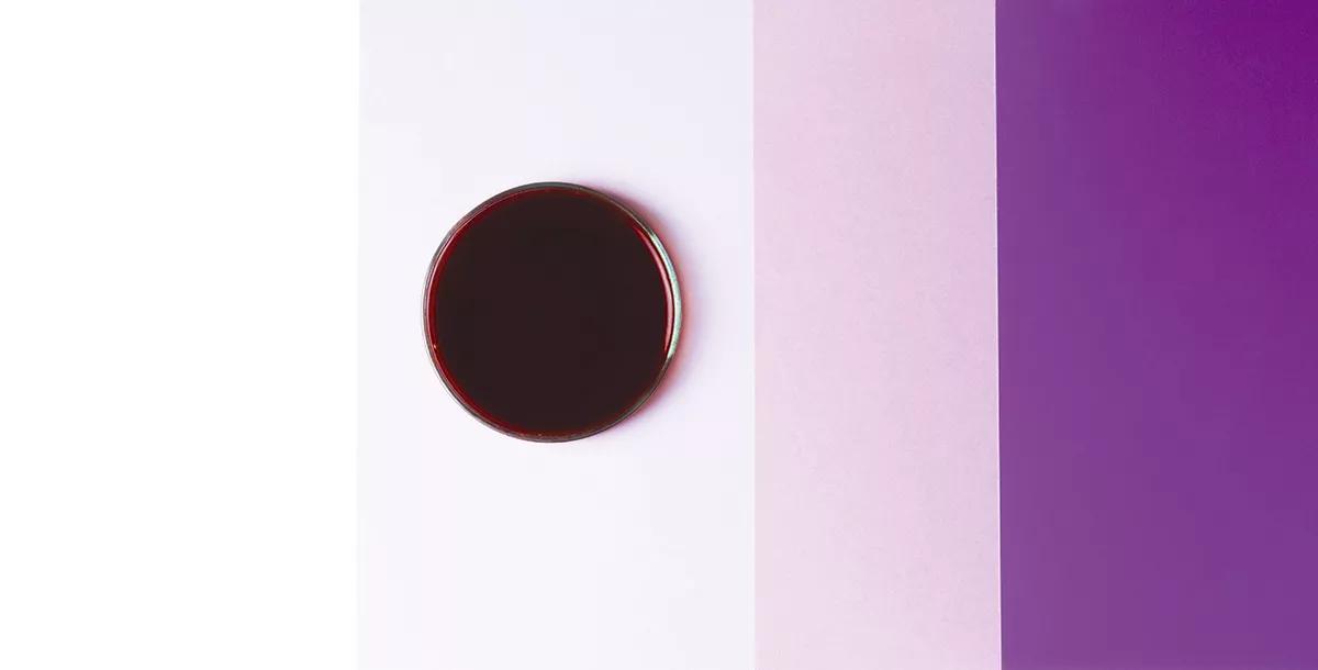 Ayahuascas 2.0 y otros sucedáneos 