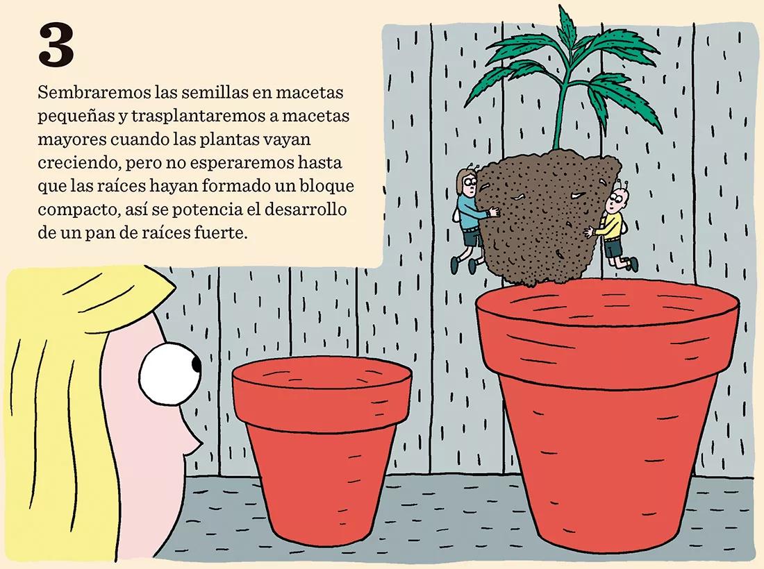 Ocho trucos para la fase de crecimiento 