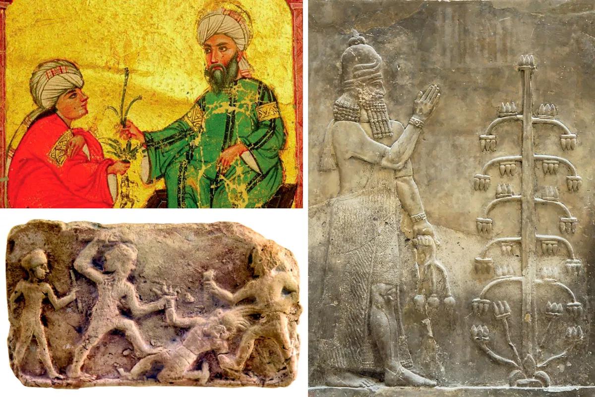 El médico, alquimista y filósofo persa Abu Bakr al-Razi (siglo IX) empleando cáñamo.