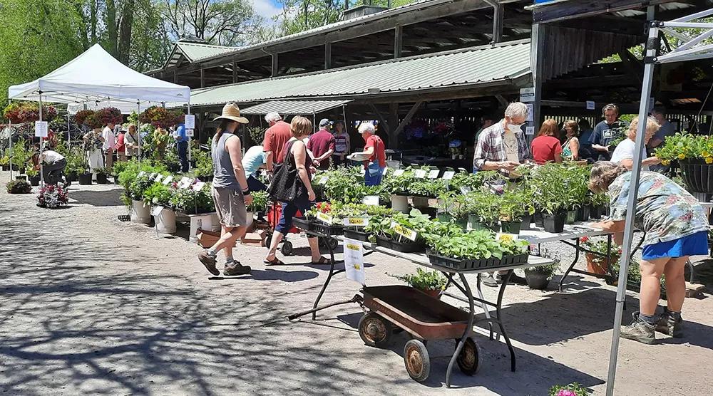 Este verano se venderá marihuana en los mercadillos de Nueva York
