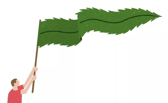 ¿Regulamos?: los CSC como modelo de acceso al cannabis 