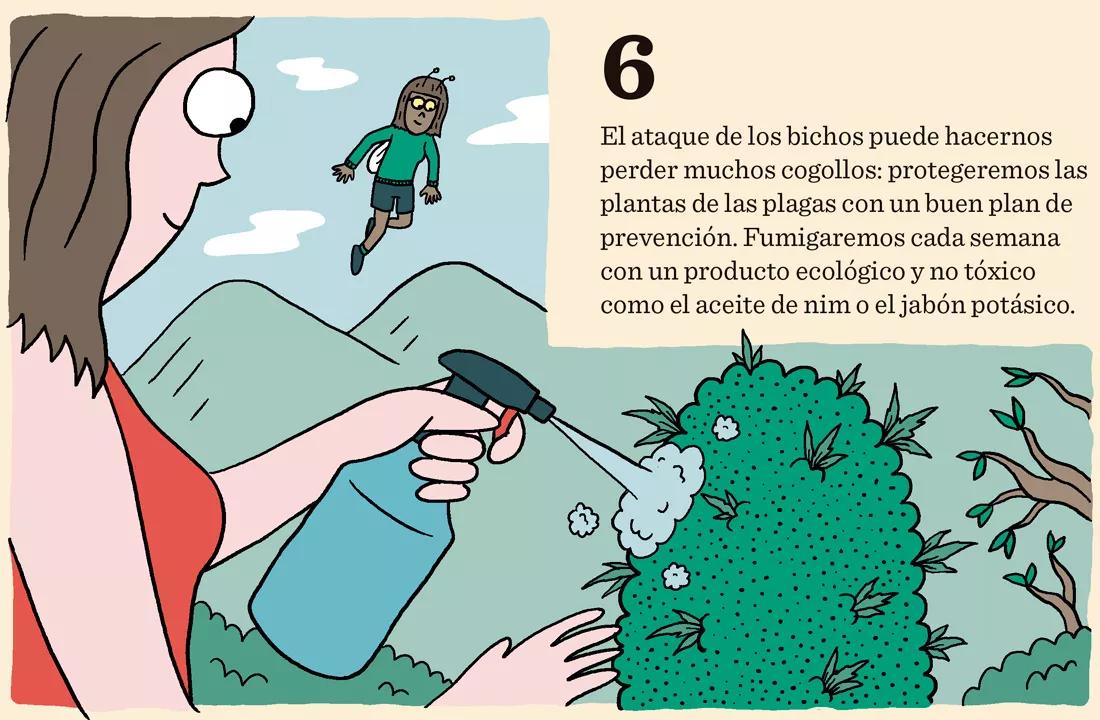 El ataque de los bichos puede hacernos perder muchos cogollos: protegeremos las plantas de las plagas con un buen plan de prevención. Fumigaremos cada semana con un producto ecológico y no tóxico como el aceite de nim o el jabón potásico. 