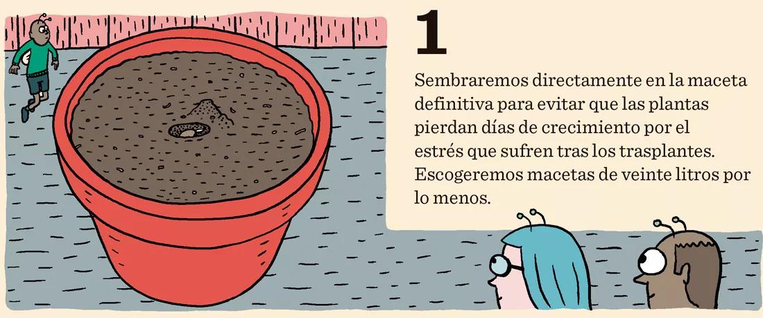 Sembrar en julio: diez trucos para cultivar a última hora