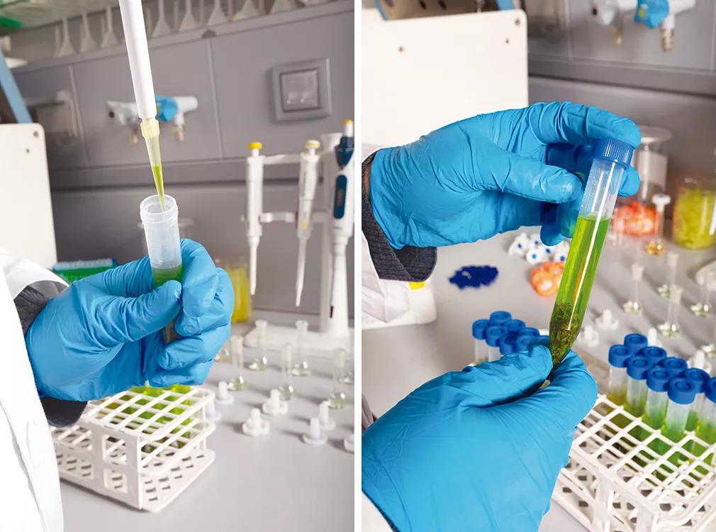 Ananda Lab y la transformación constante en la industria