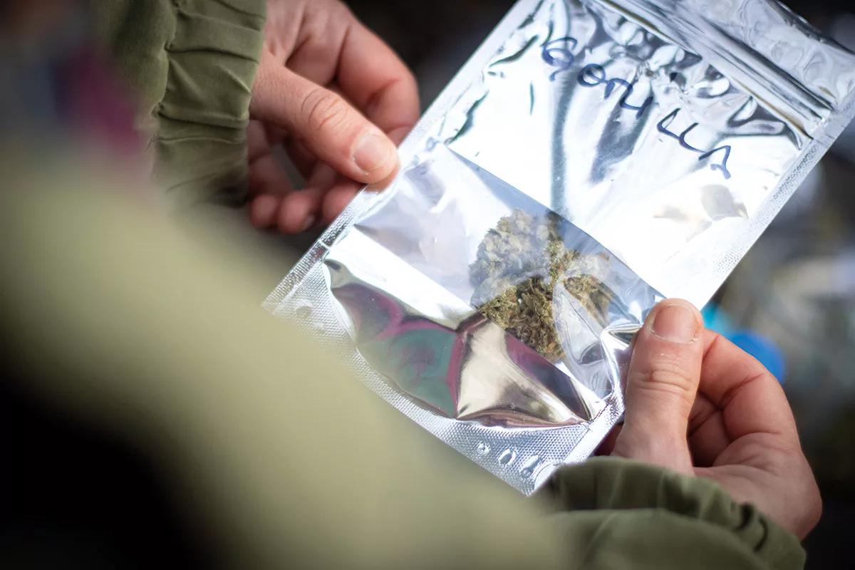 Uruguay: una década de cannabis legal