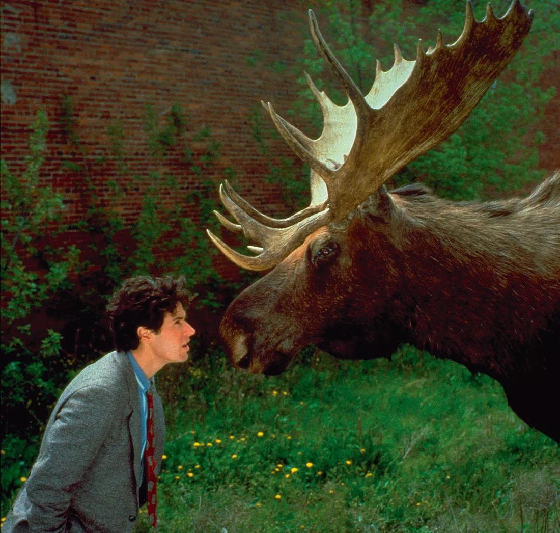 Doctor en Alaska (Filmin) 