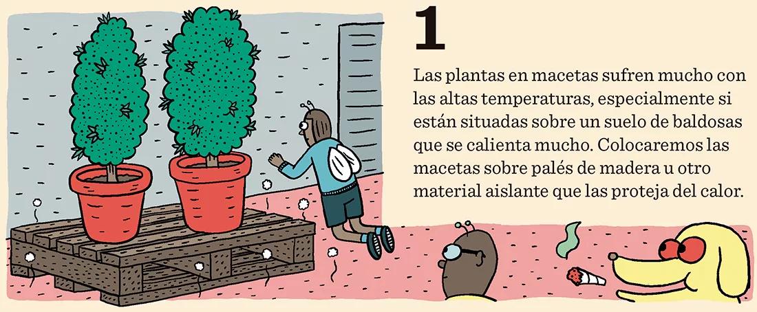 Diez trucos para el verano: floración y cogollos