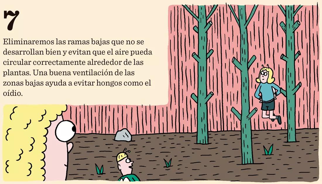 Diez trucos para el verano: floración y cogollos