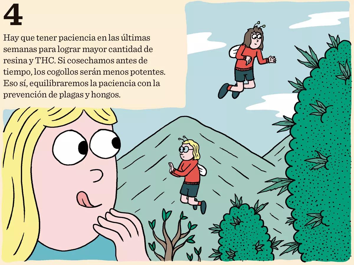 Diez trucos para lograr la mejor cosecha 