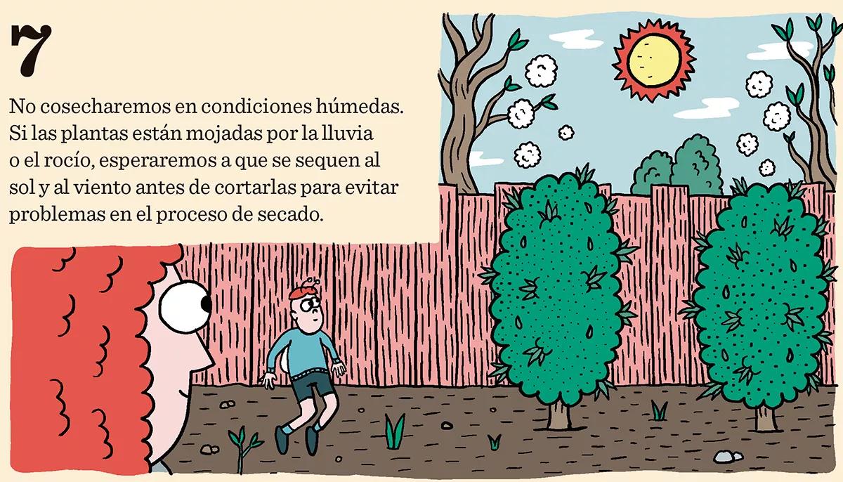 Diez trucos para lograr la mejor cosecha 