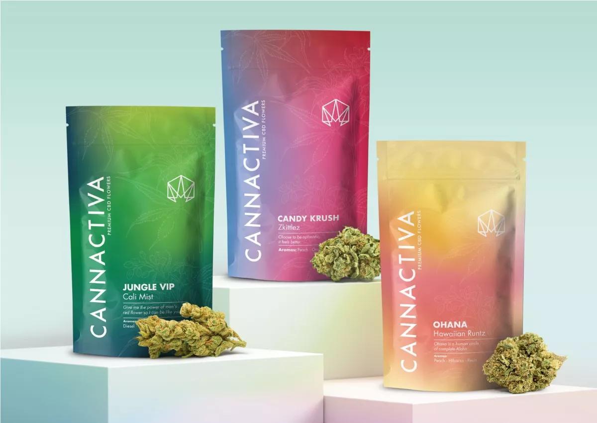 Grandes Ofertas en el CBD Black Friday de Cannactiva