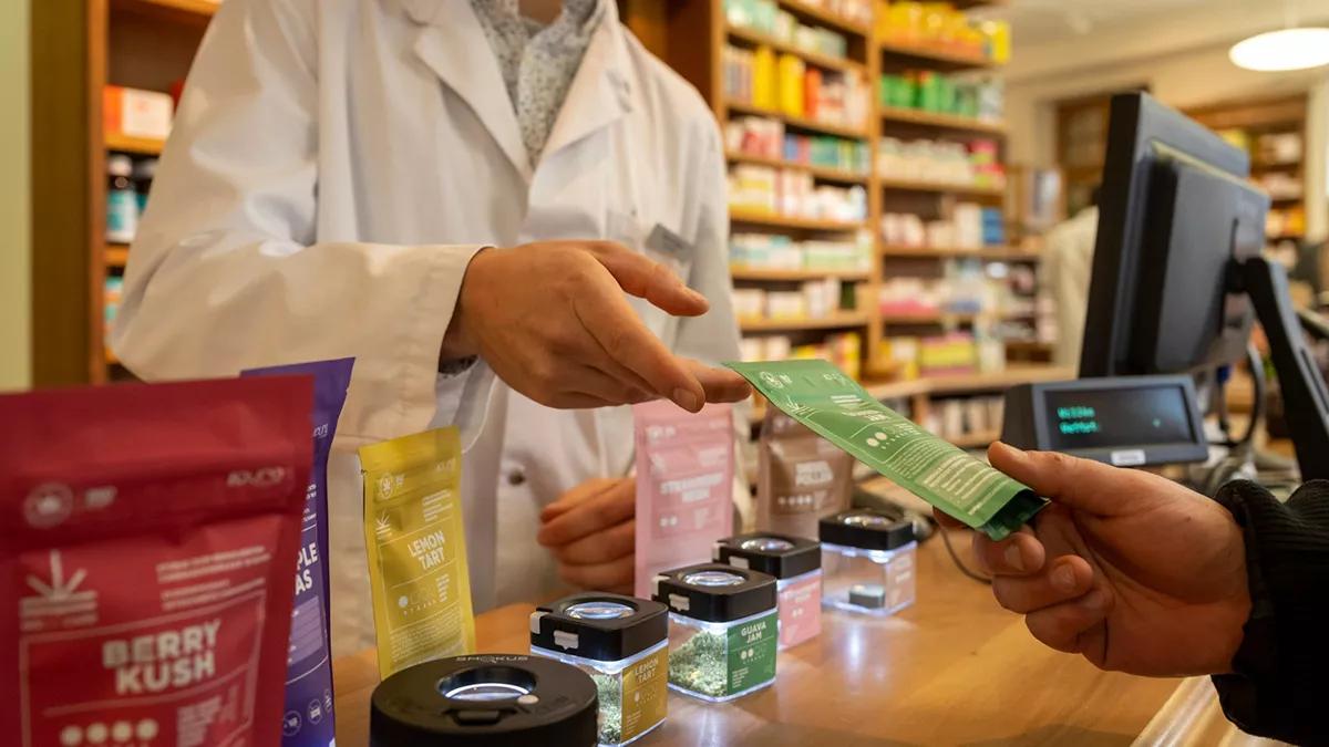 Los usuarios de cannabis suizos ya pueden inscribirse para fumar en el programa de Berna y Biel