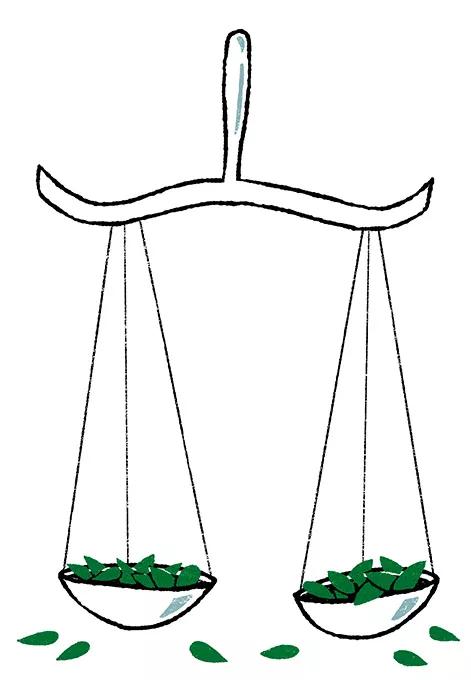 ¡No es nuestra guerra! Colombia debe legalizar la hoja de coca