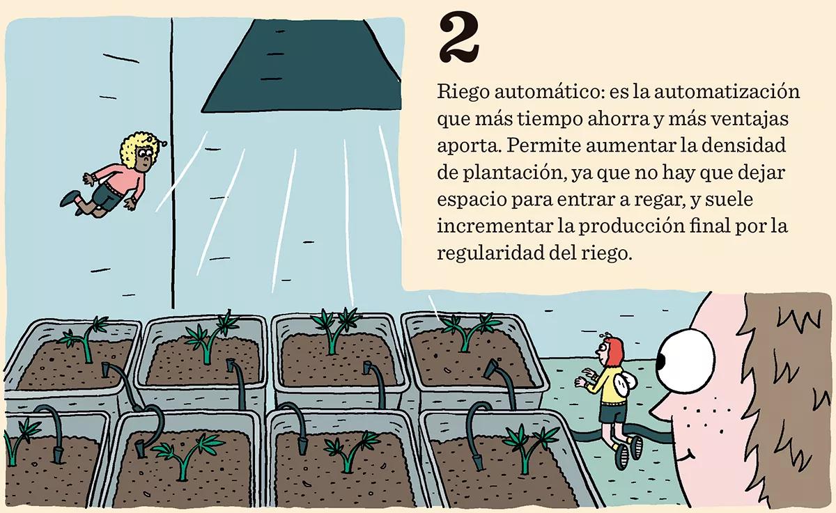 Diez trucos para automatizar un cultivo de interior 