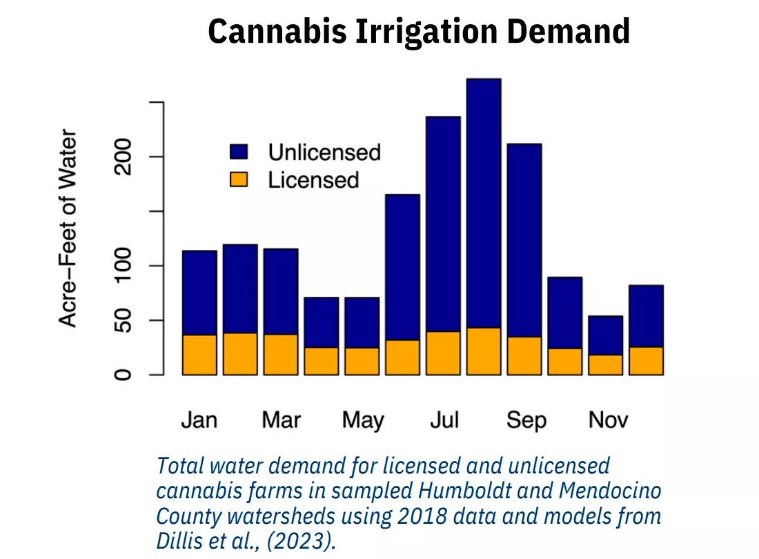 California: los cultivos ilegales de cannabis consumen más agua que los que tienen licencia