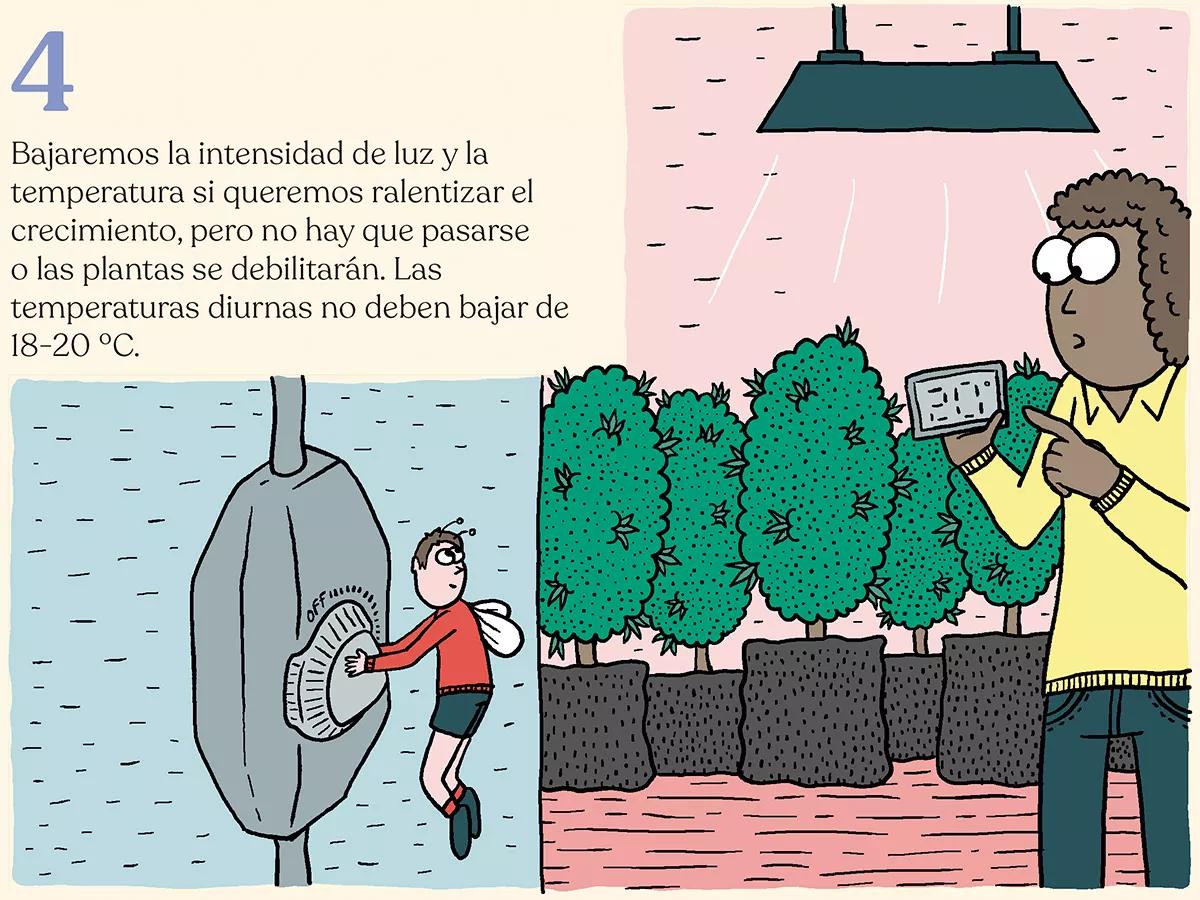 Nueve trucos para acelerar (o frenar) el crecimiento de las plantas en interior