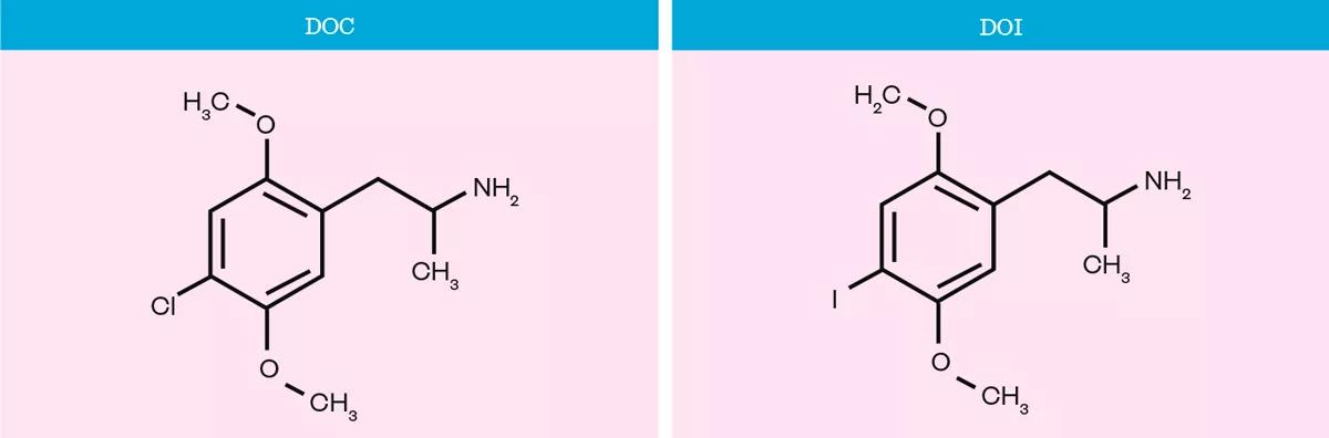 ¿Y qué son el DOC y el DOI?