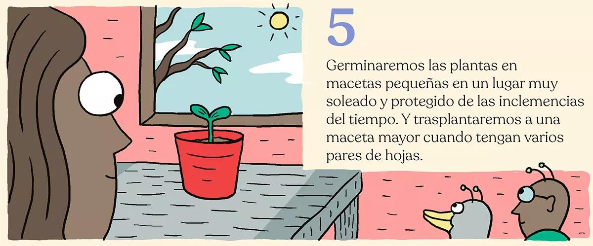 Nueve trucos para empezar en el cultivo de exterior