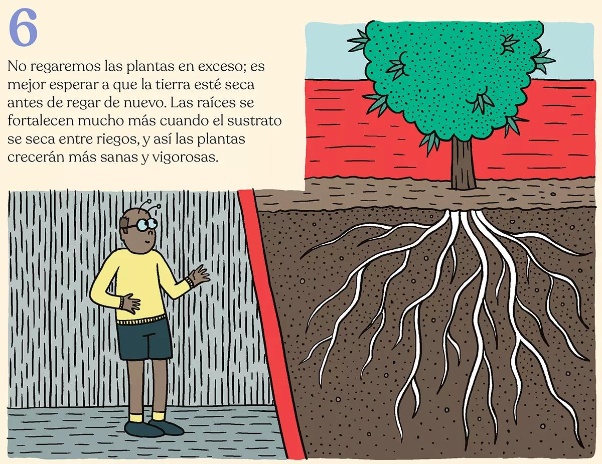 Nueve trucos para empezar en el cultivo de exterior