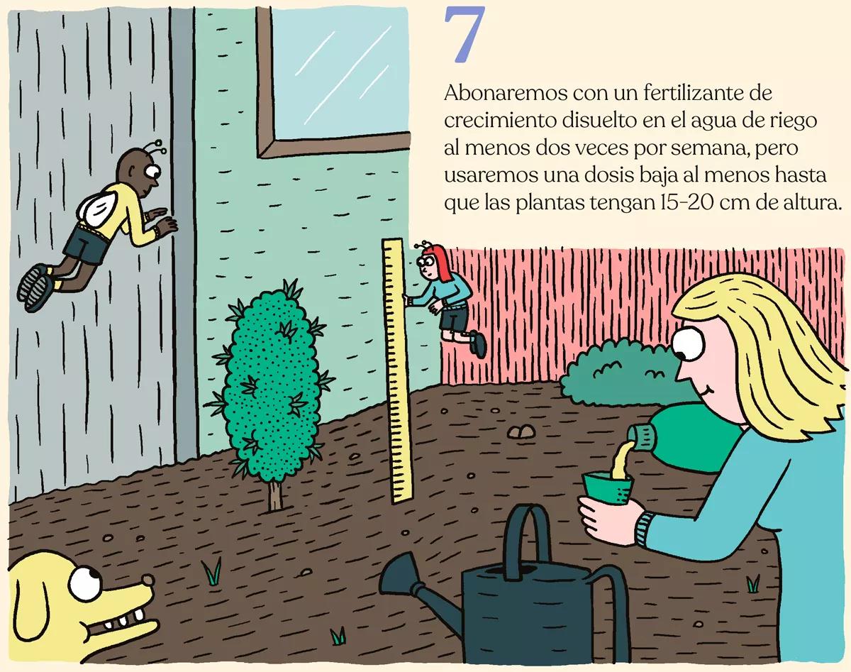 Nueve trucos para empezar en el cultivo de exterior
