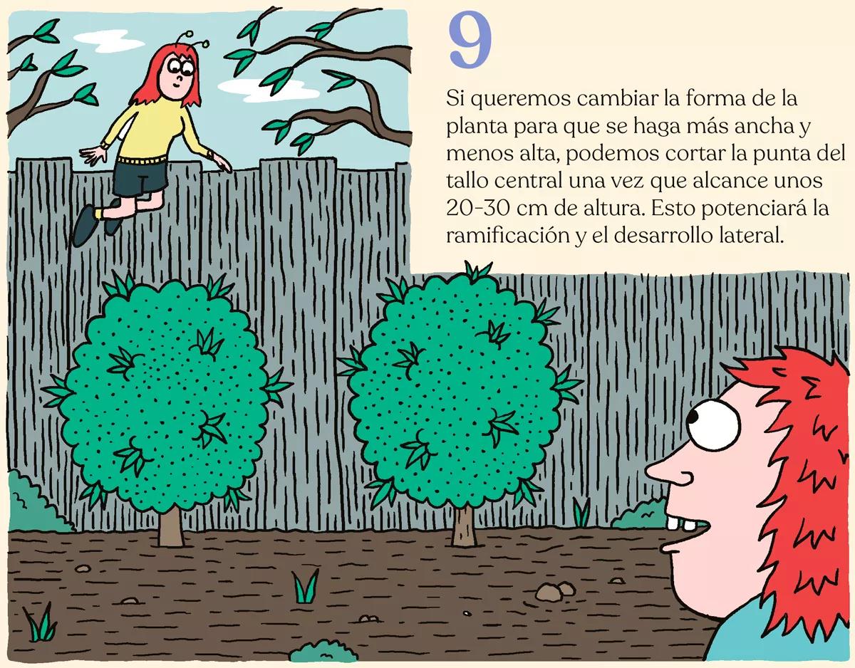 Nueve trucos para empezar en el cultivo de exterior