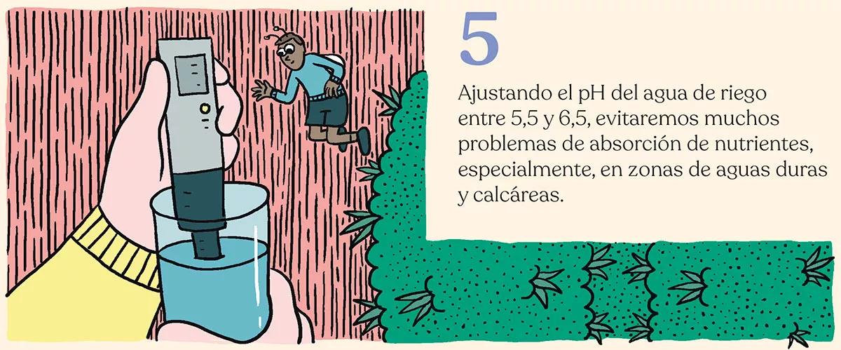 Los diez trucos de experto para cultivadores novatos 