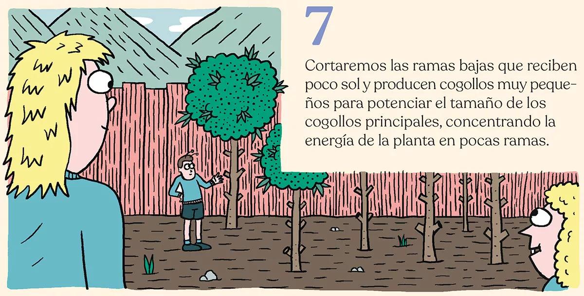 Los diez trucos de experto para cultivadores novatos 