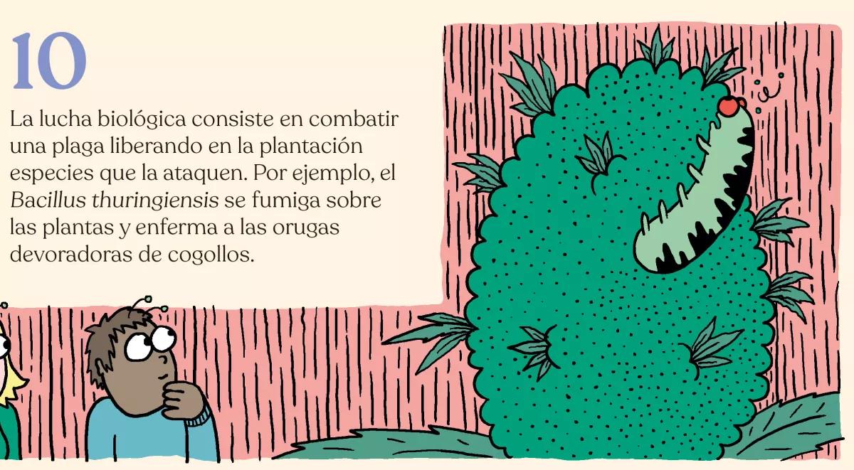 Estrategia contra bichos en diez pasos