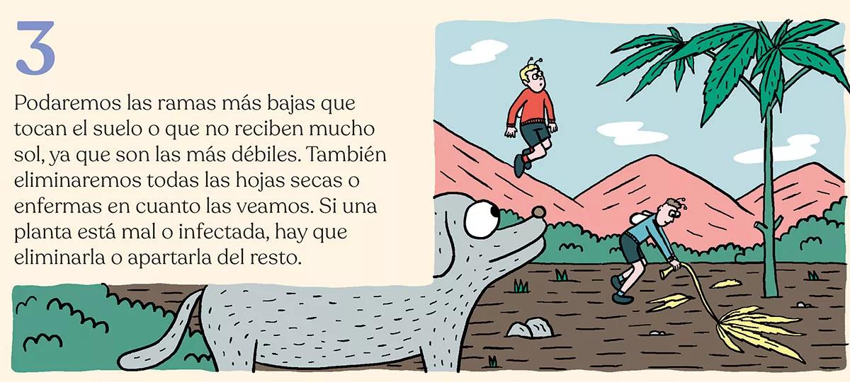 Estrategia contra bichos en diez pasos