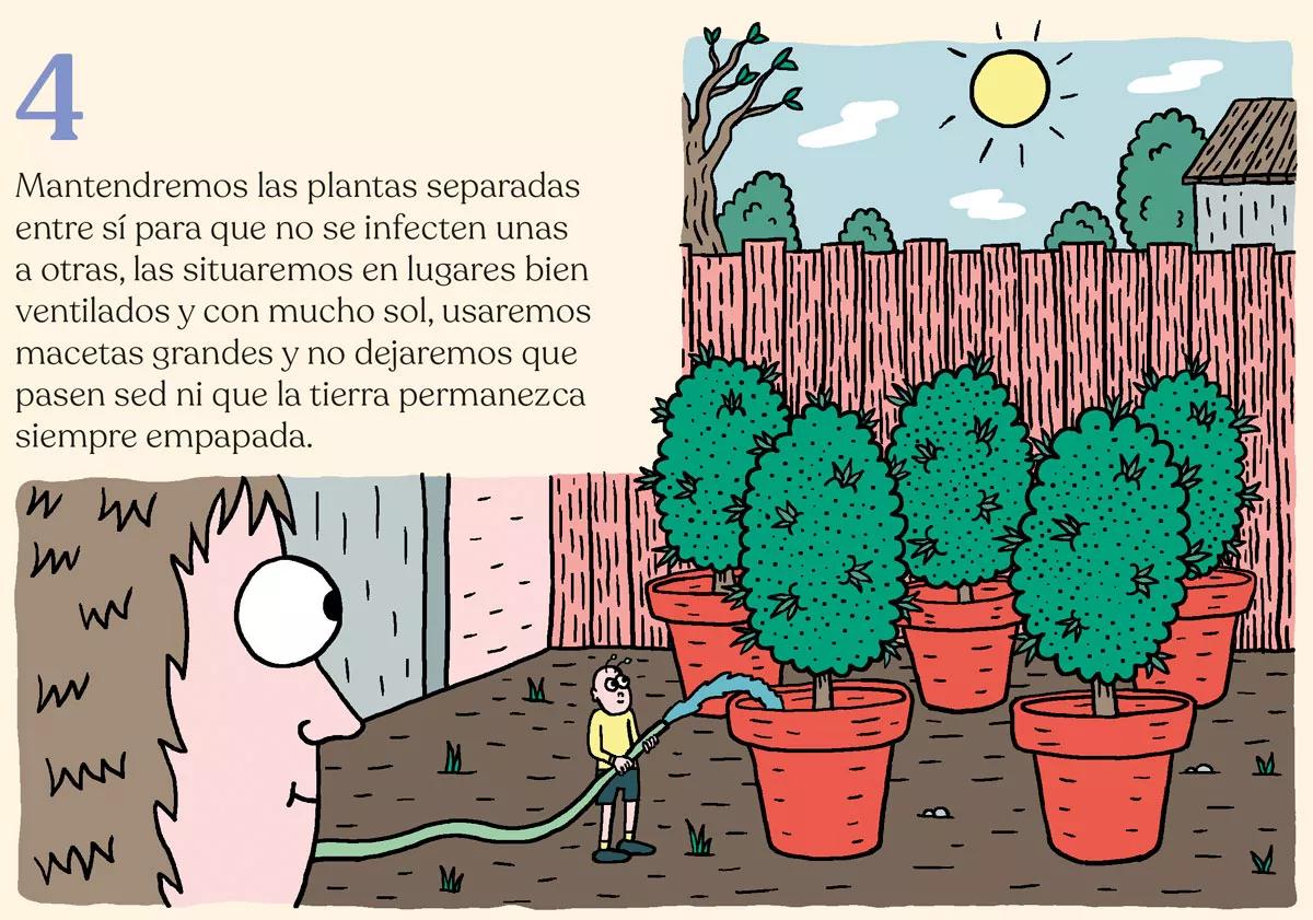 Estrategia contra bichos en diez pasos