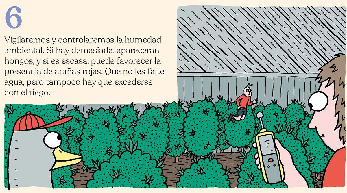 Estrategia contra bichos en diez pasos