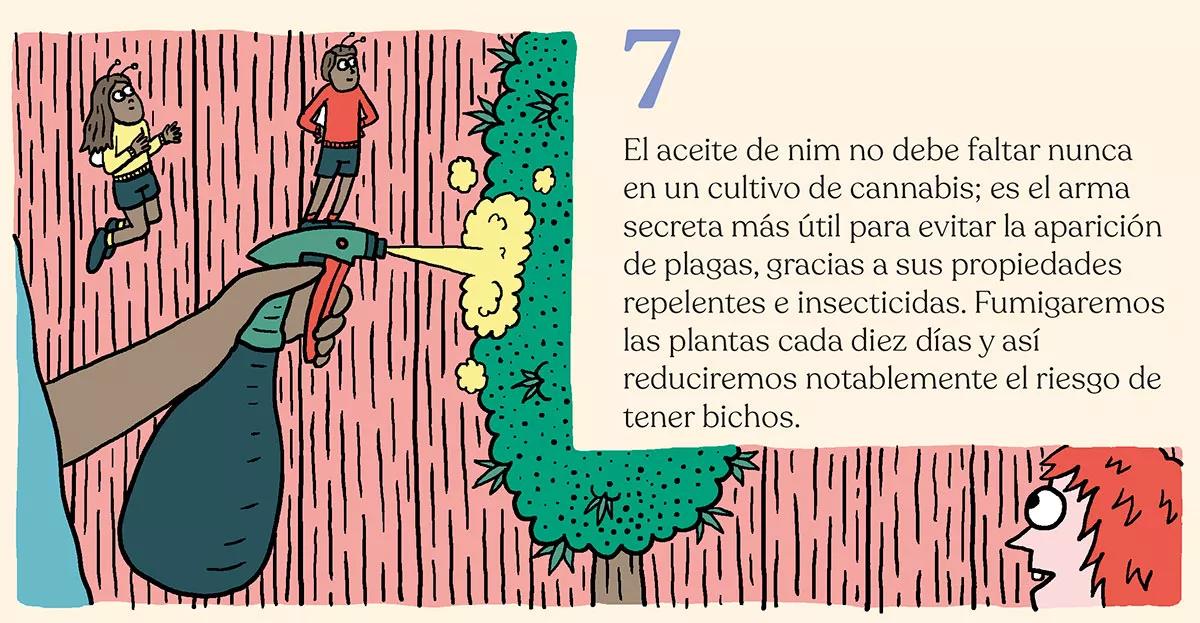 Estrategia contra bichos en diez pasos