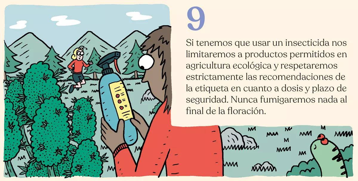 Estrategia contra bichos en diez pasos