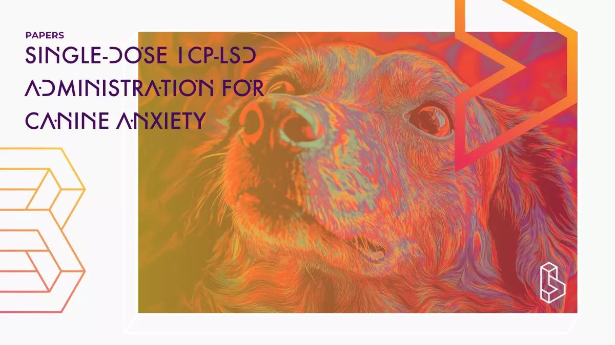 Una perra española redujo su ansiedad tras consumir una baja dosis de LSD