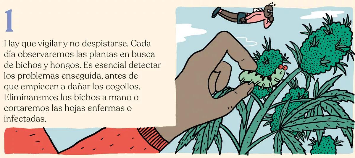 Los diez errores típicos del último mes y cómo evitarlos