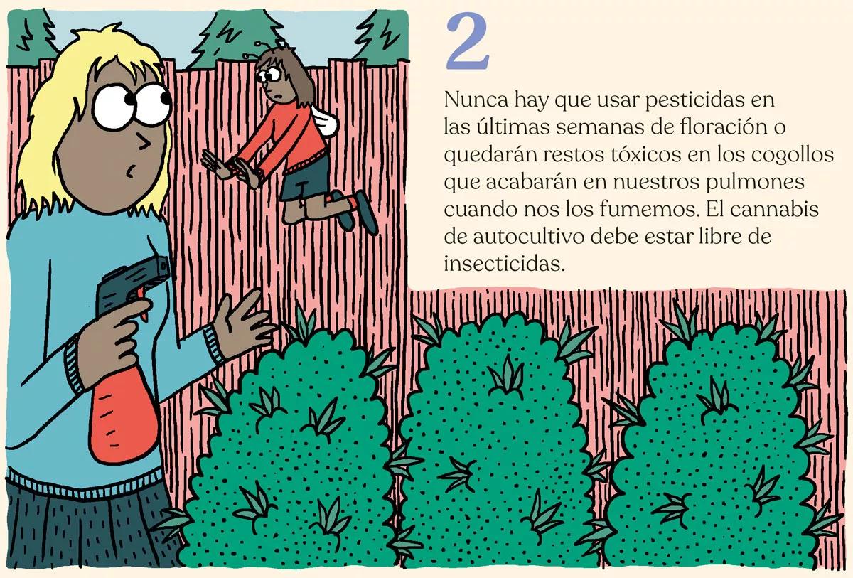 Los diez errores típicos del último mes y cómo evitarlos