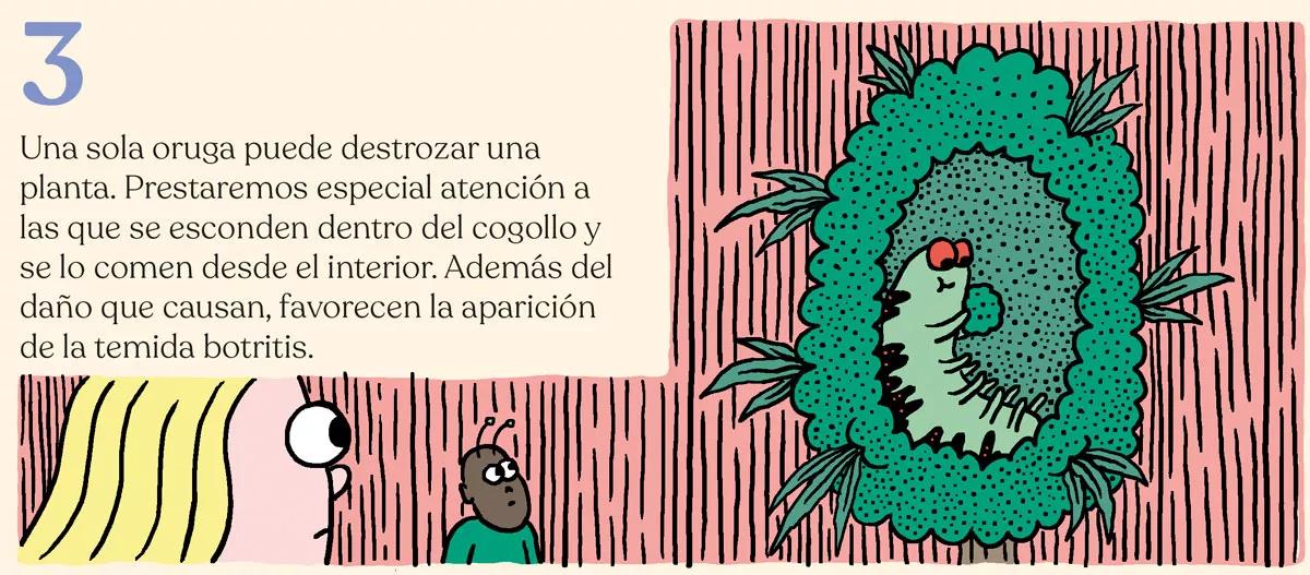 Los diez errores típicos del último mes y cómo evitarlos