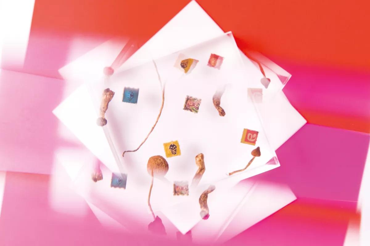 Reducción de riesgos para experiencias psicodélicas: preparación y gestión del ‘set’ y el ‘setting’ 