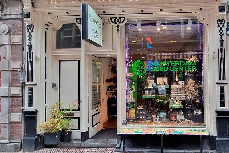 Historia de Paradise Seeds: 30 Años de Genética Superior de Cannabis