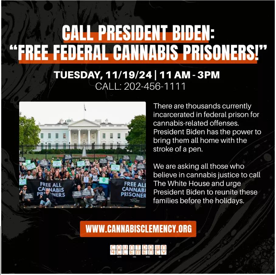 Representantes demócratas exigen a Joe Biden la liberación de tres mil presos por cannabis