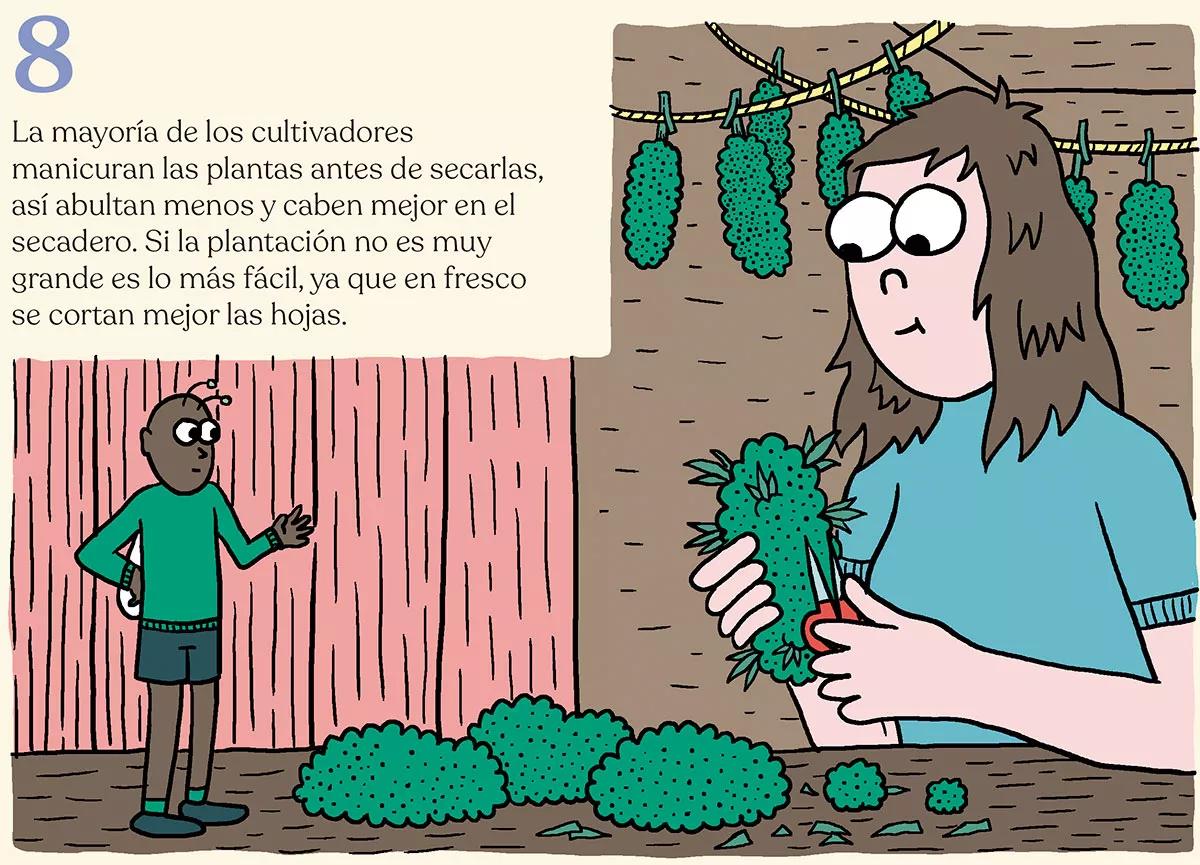 La cosecha perfecta en diez pasos: consejos y trucos de experto 