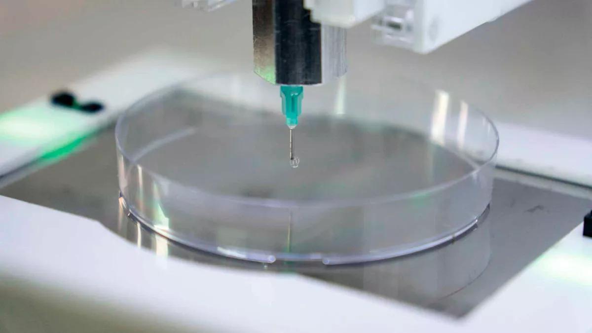 Científicos argentinos crearon un parche 3D con cannabis para curar heridas complejas