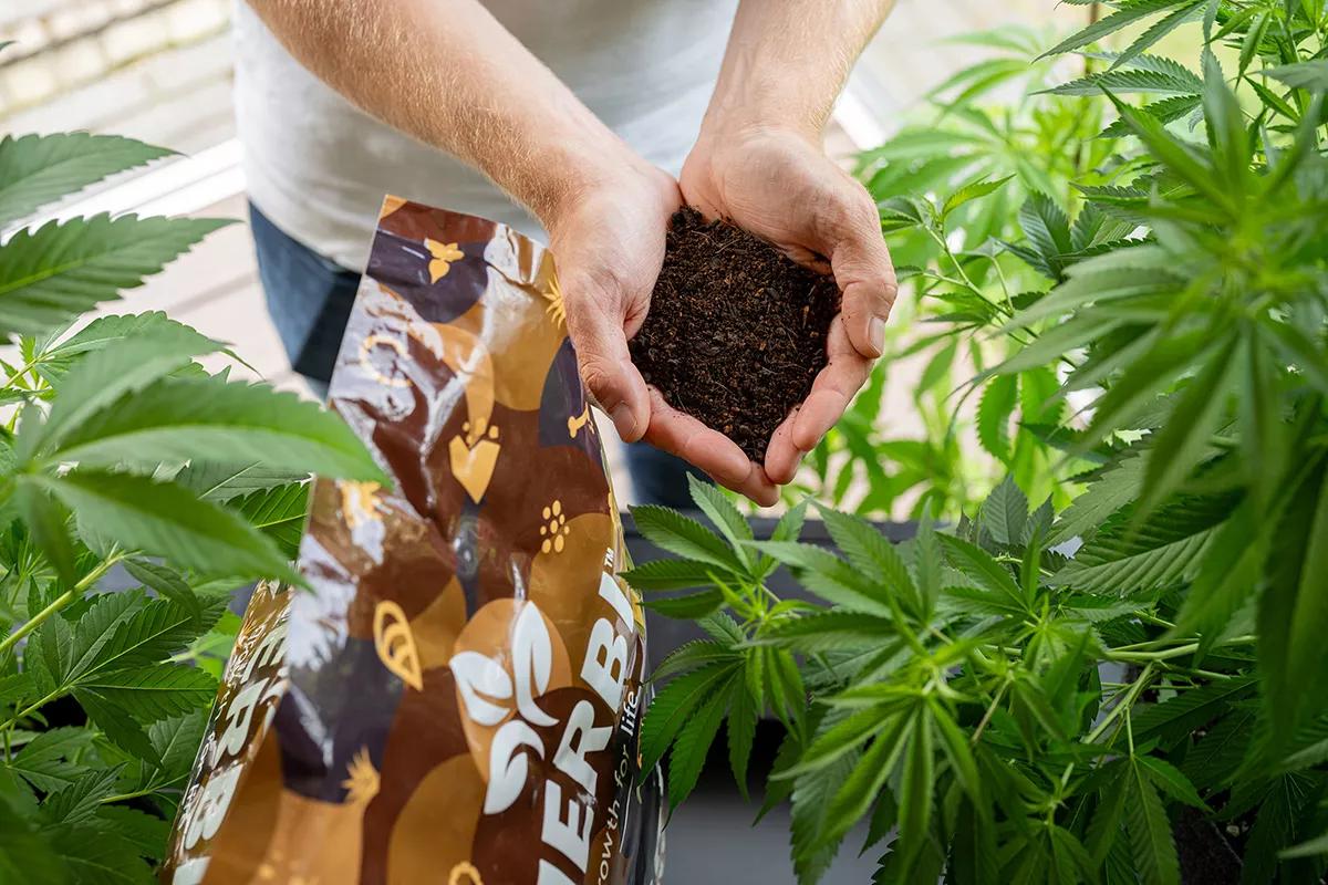 La gama de productos Floragard Grow