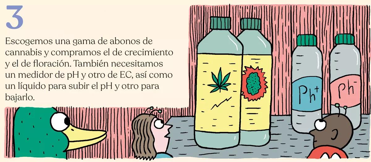 Diez pasos para montar el primer cultivo interior 