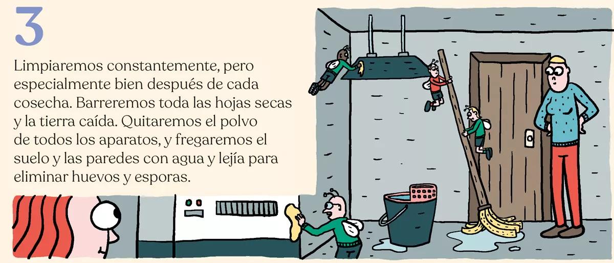 El cuarto eterno: trucos de mantenimiento del ‘indoor’ 