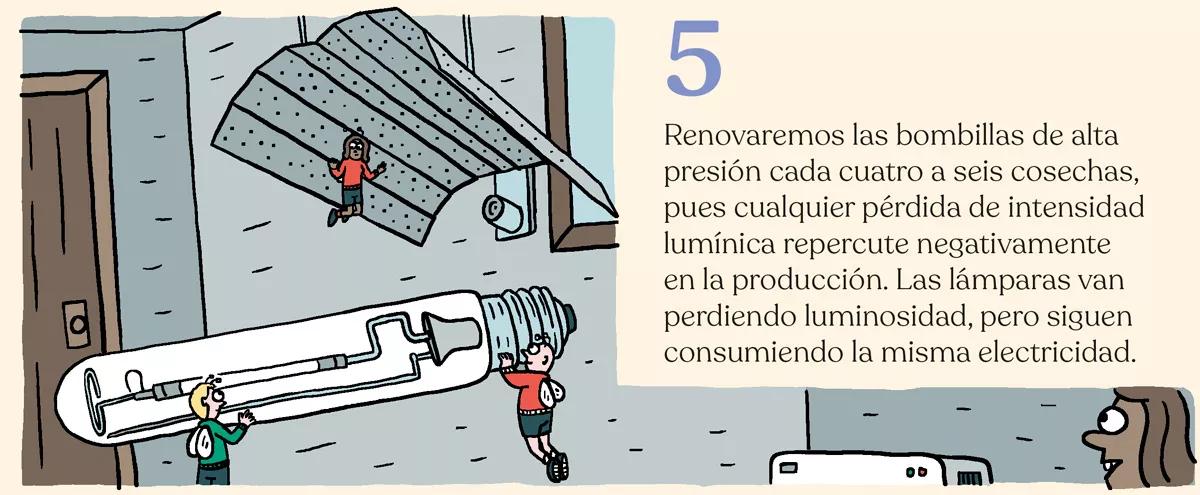 El cuarto eterno: trucos de mantenimiento del ‘indoor’ 