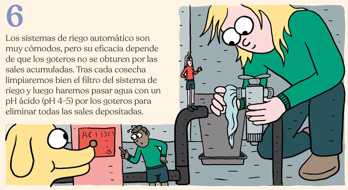 El cuarto eterno: trucos de mantenimiento del ‘indoor’ 